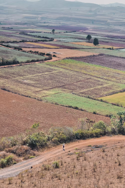 Agricultural farmland and food security